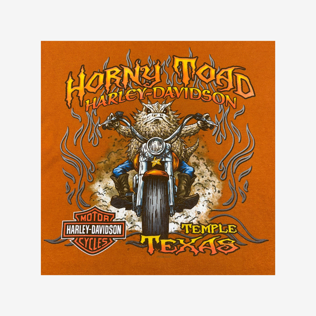 Harley Davidson Temple Texas Big Front & Back Graphic Print T-Shirt