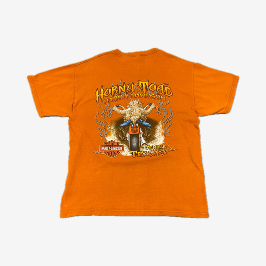 Harley Davidson Temple Texas Big Front & Back Graphic Print T-Shirt