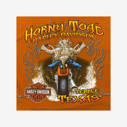 Harley Davidson Temple Texas Big Front & Back Graphic Print T-Shirt